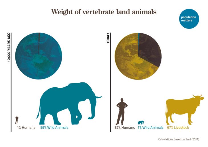 weight-of-vertebrate-land-animals-and-human.jpg