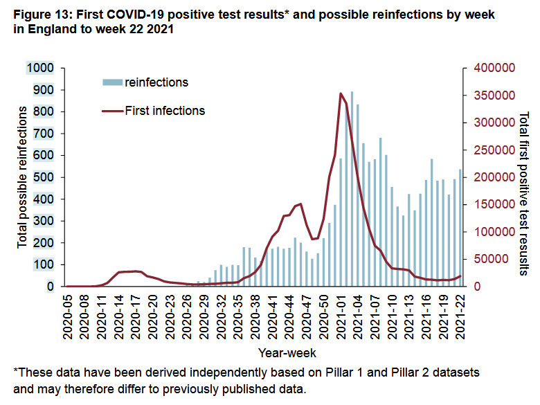 Reinfection by date.png