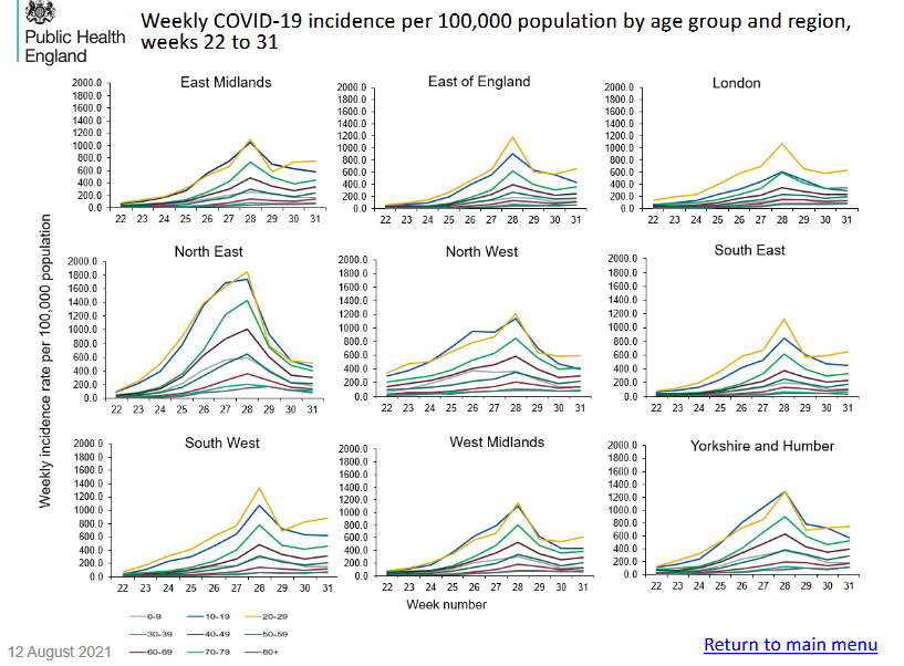 Screenshot 2021-08-14 at 21-25-30 PHE Influenza Surveillance graphs 5 August 2021 - Weekly_COVID-19_and_Influenza_Surveilla[...].png