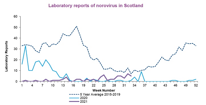 norovirus.jpg