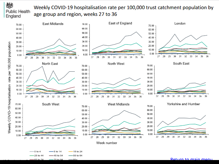 Surveillance graphs 16 September 2021 - rate of admissions.png