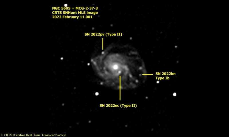 NGC 5605.jpg
