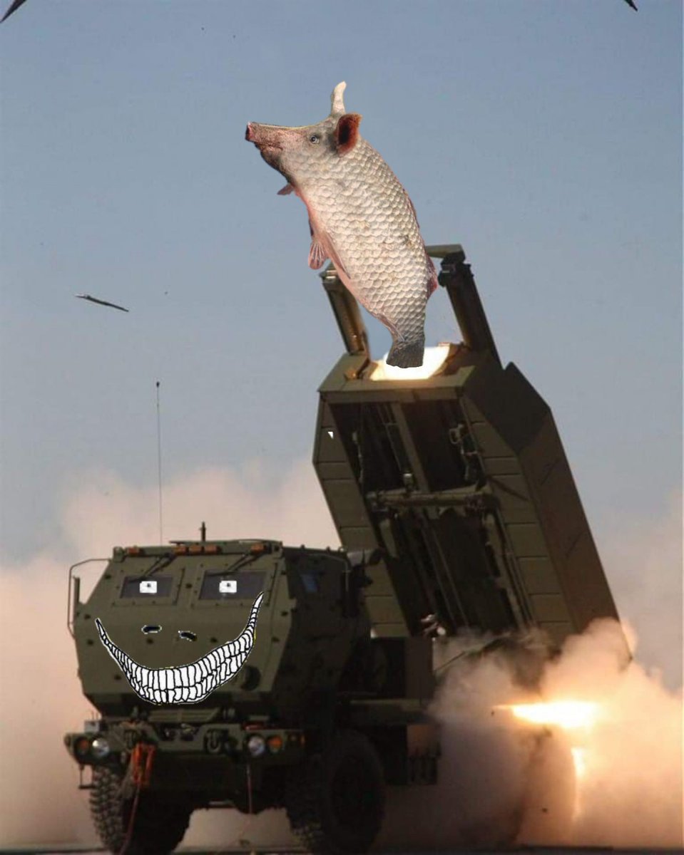 Schweinokaras launcher.jpg